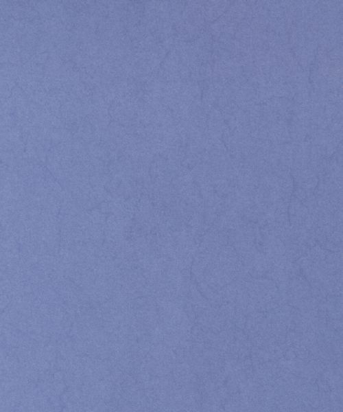 紫羅蘭F755